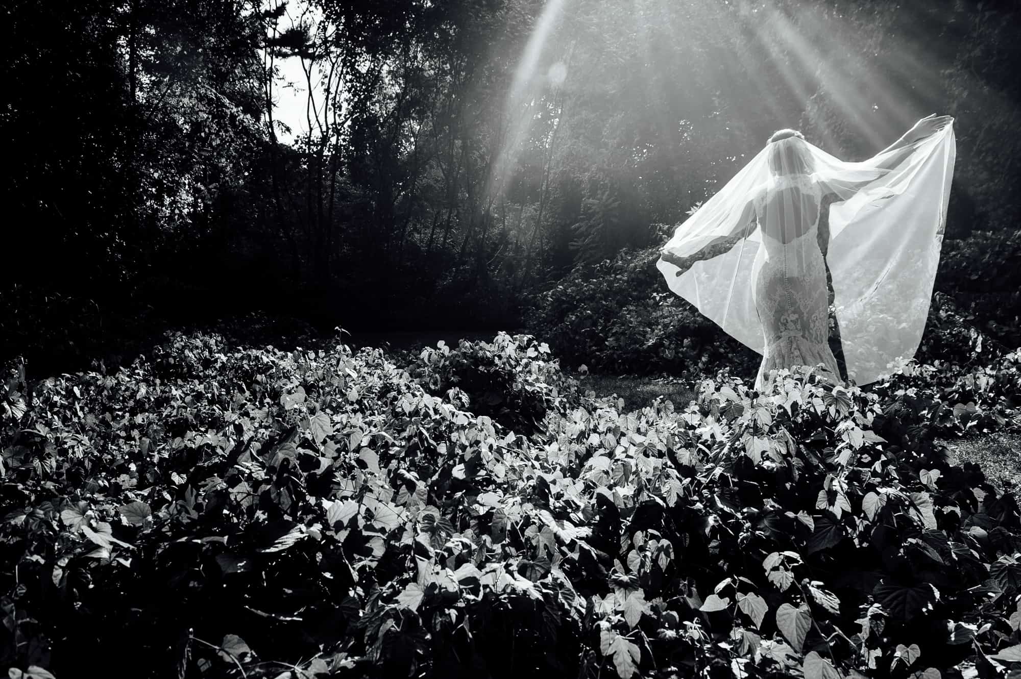 Bride extending her veil in beams of sunlight