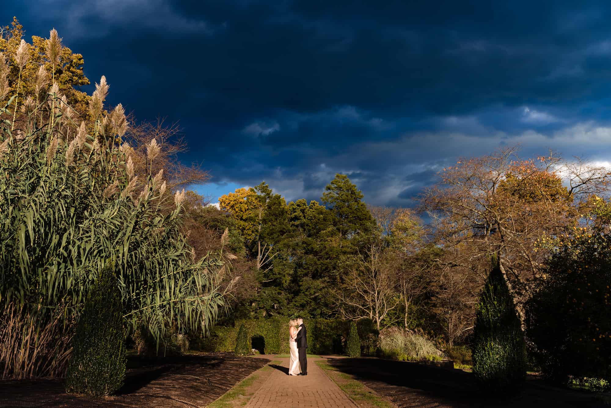 couple taking a pose in Peirce’s Park area of longwood gardens with stunning displays of woodland wildflowers