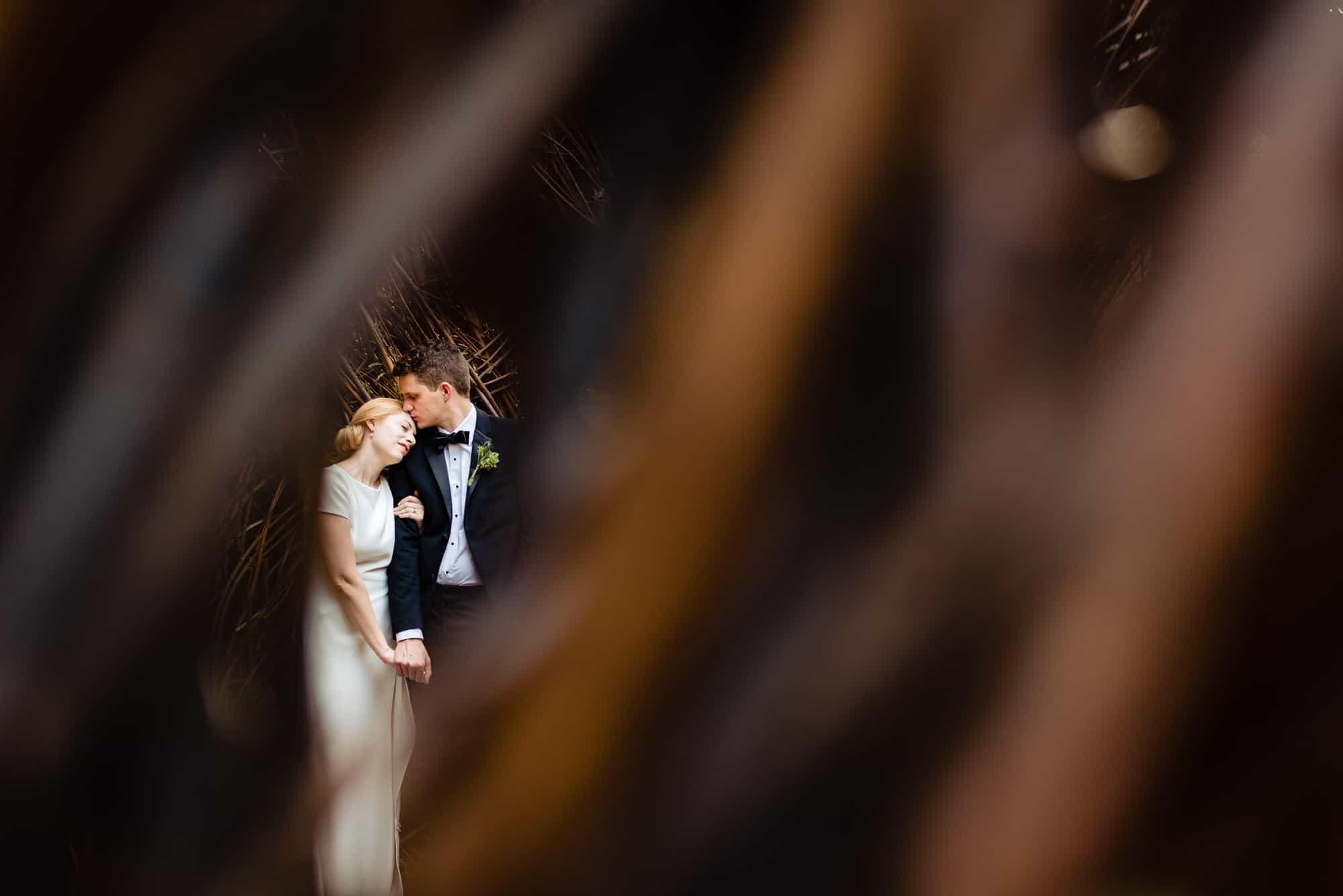 romantic image of bride and groom at their Morris Arboretum Wedding