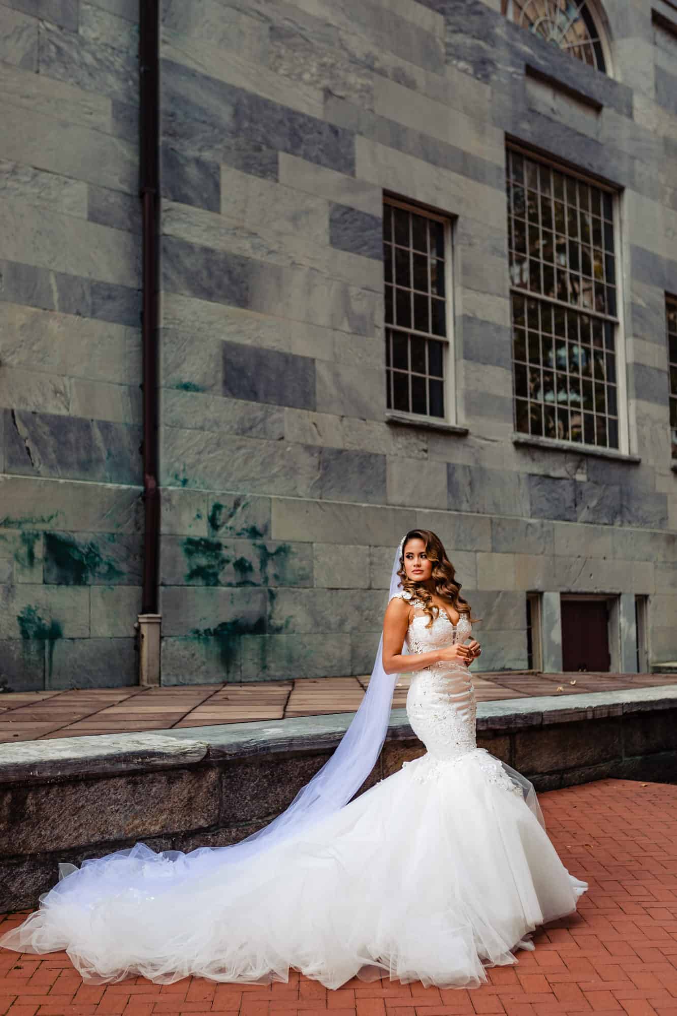 the bridal portrait