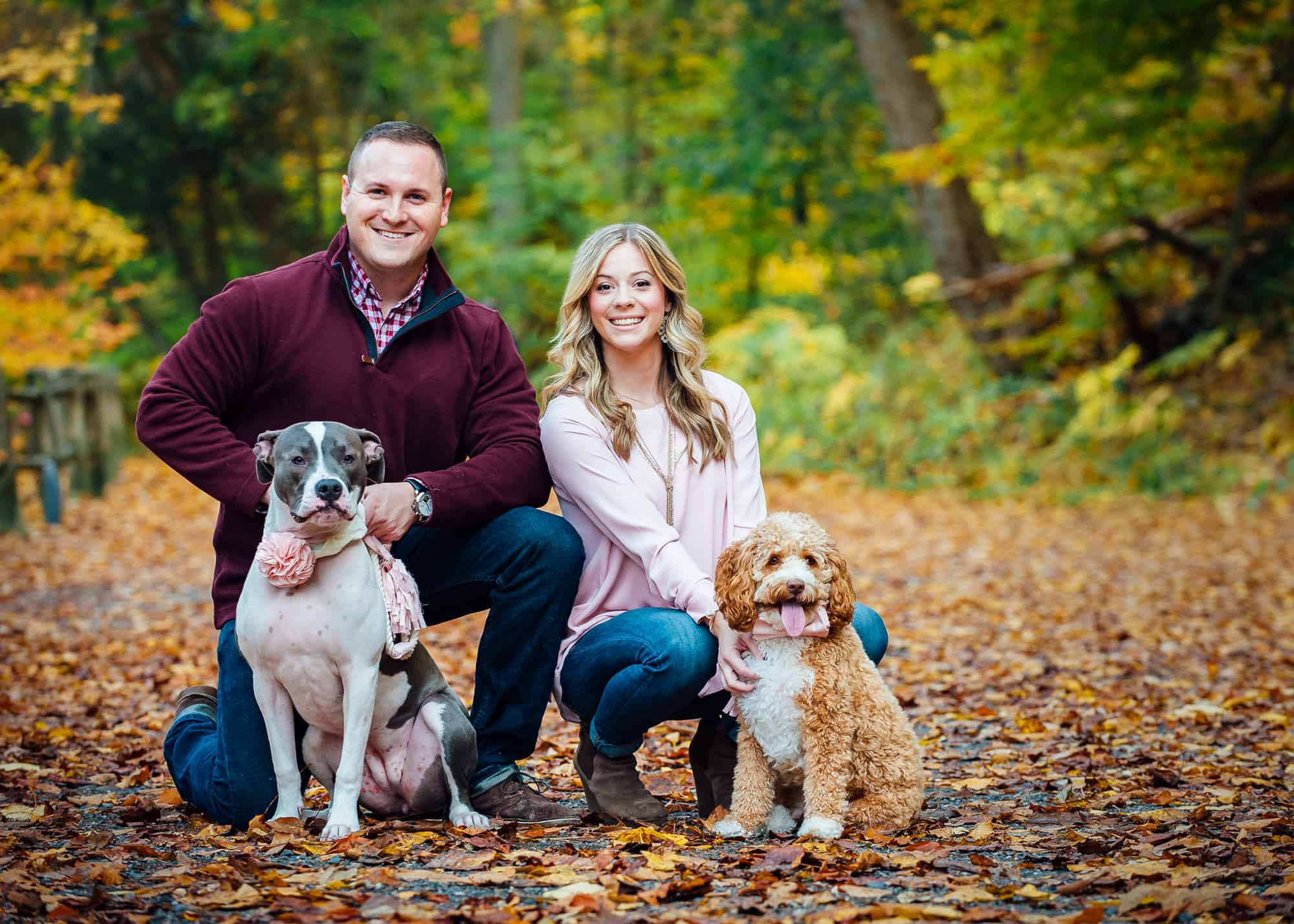 Engagement Photos of a couple with their two pet dogs