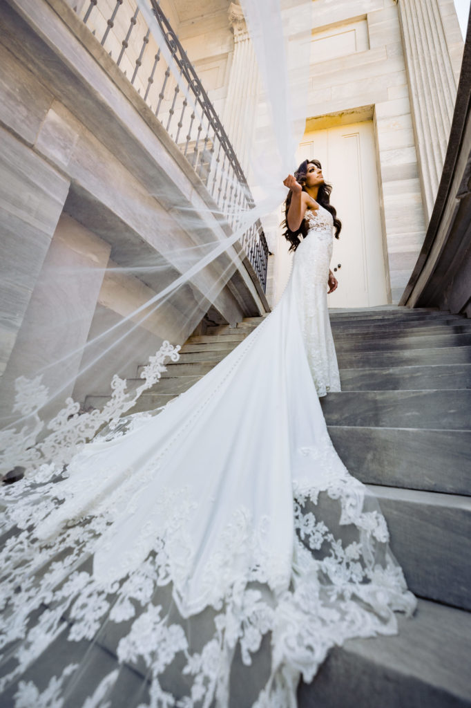 the bridal portrait showcasing her veil
