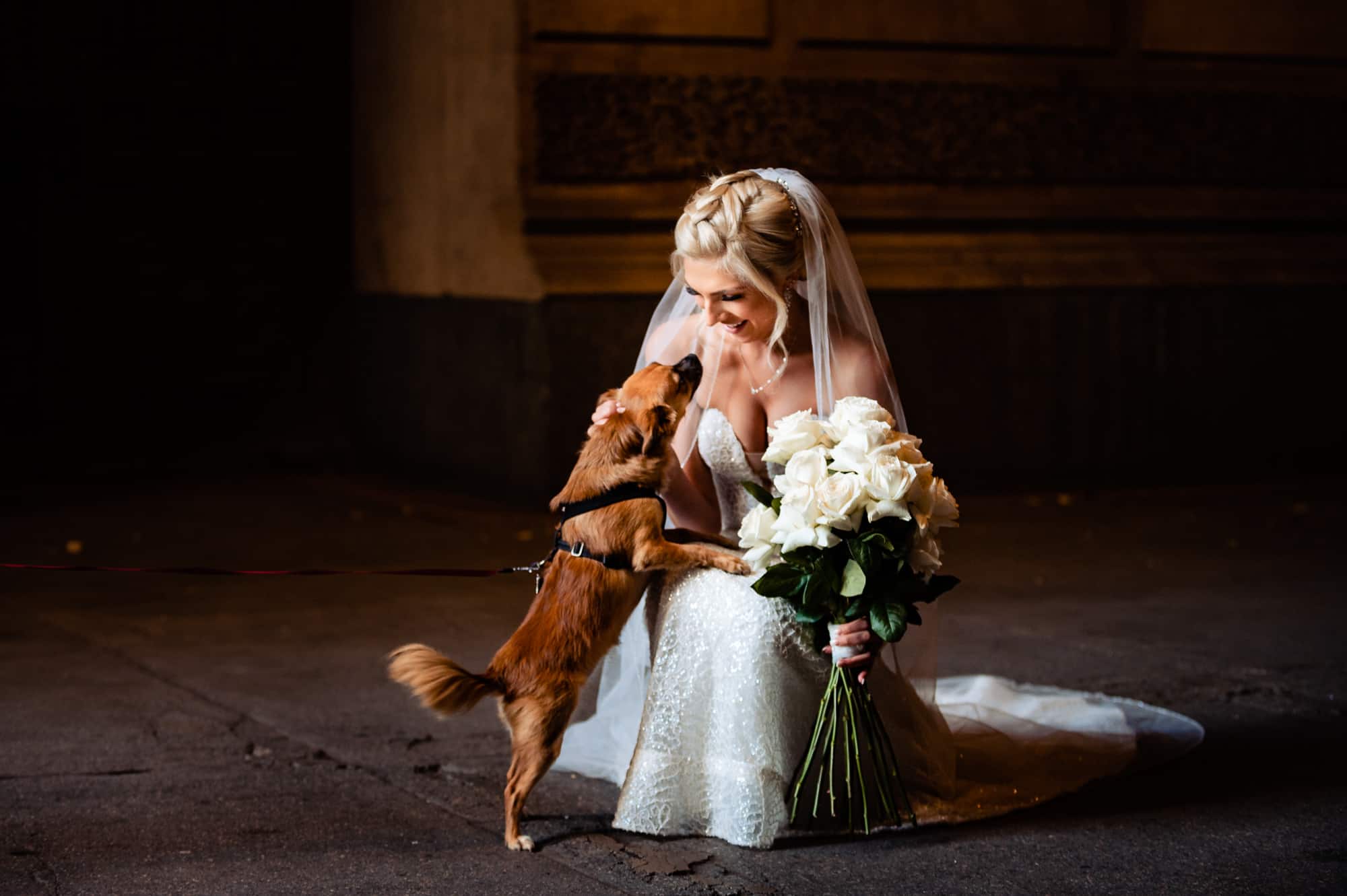 bride is greeted by her pooch