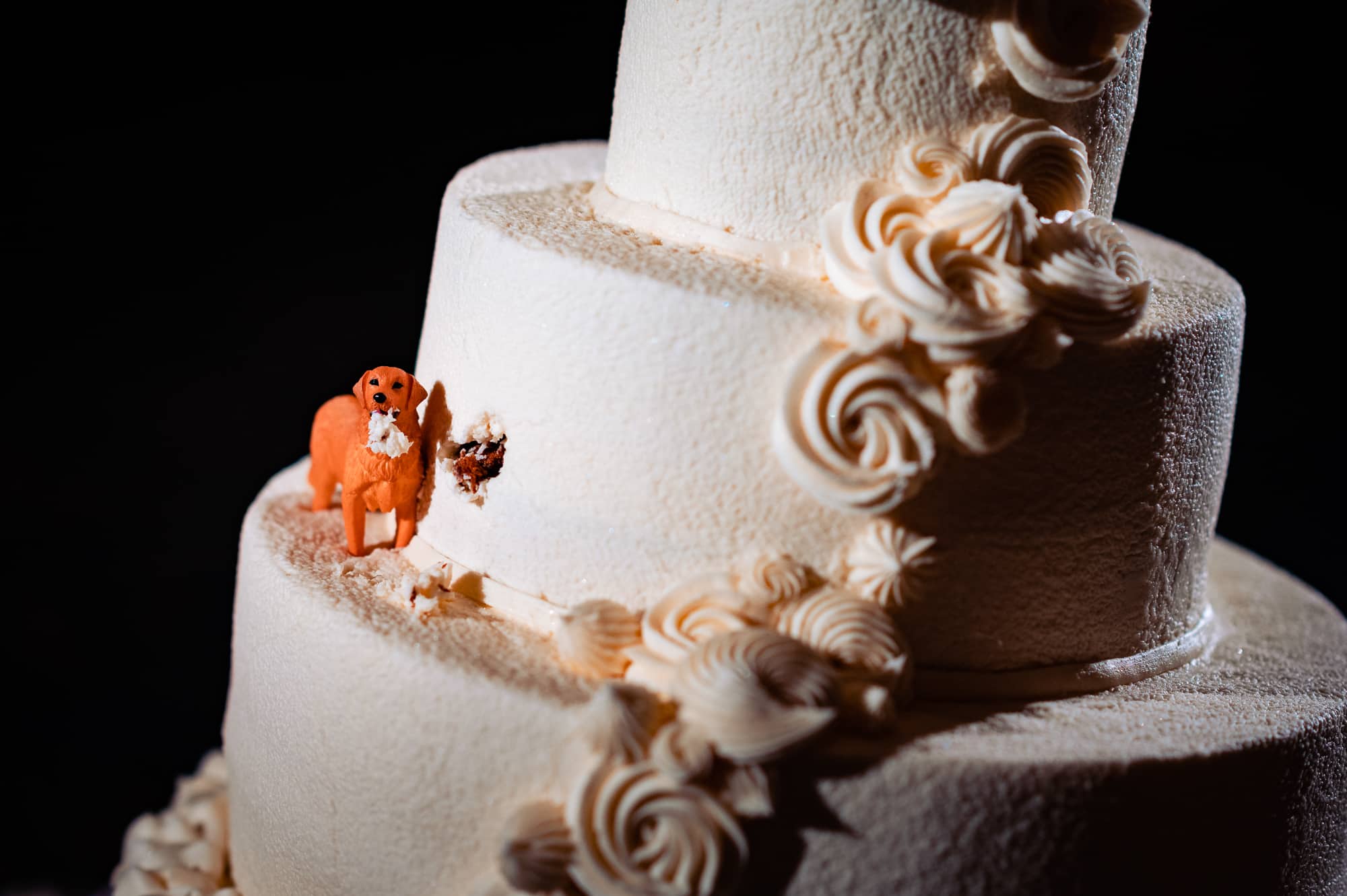 the wedding cake