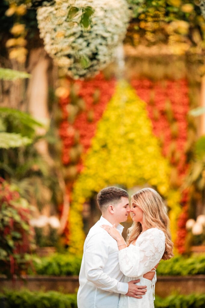 The recently engaged couple strolls along a tree-lined path in Longwood Gardens, sunlight filtering through vibrant autumn leaves. They smile lovingly at one another, her arm wrapped through his, as the camera captures a quiet moment of affection between them.