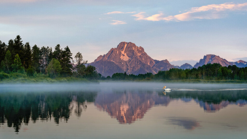 Grand Teton National Park in Wyoming is adorned with picturesque Oxbow Bend's peaceful waters. As the sunbeams stretch its warmth, beautiful moments awaken. The landscape of this serene place is an idyllic reflection of nature's serenity, bringing an accentuated shade of golden hues emblazoning the towering mountains in a hue of royal glory.