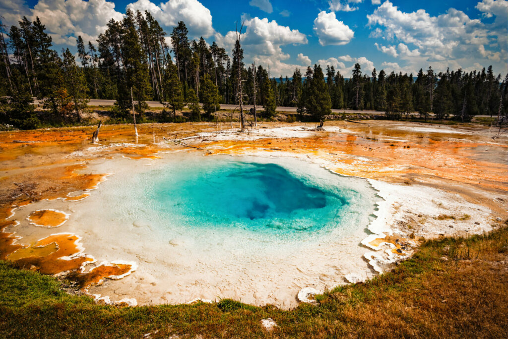 The Old Faithful geyser basin at Yellowstone National Park, showcasing a landscape of colorful geothermal features, steam rising from various geysers and hot springs, surrounded by the natural beauty of the park's wilderness