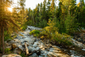 Beside the awe-inspiring Grand Teton mountain range, there snakingly flows a river, breaking through the uneven facade amid rich verdant surroundings. The waters lie framed by the lofty peaks, forming an image of serenity and beauty, while residing in the spectacular wilderness.