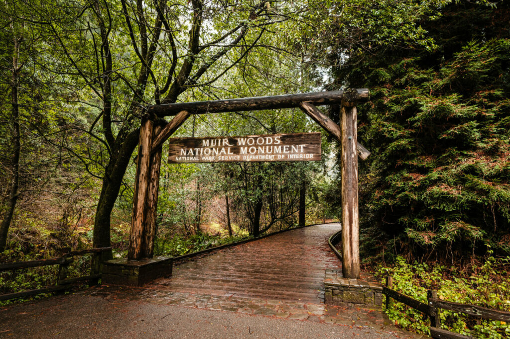 At the entrance of Muir Woods National Monument, visitors are greeted by a serene and majestic scene. The entrance area is marked by a rustic wooden sign bearing the name of the monument, nestled amidst the lush greenery and ferns that thrive in the shade of the towering trees.