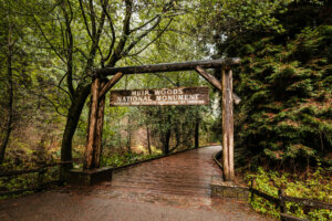 At the entrance of Muir Woods National Monument, visitors are greeted by a serene and majestic scene. The entrance area is marked by a rustic wooden sign bearing the name of the monument, nestled amidst the lush greenery and ferns that thrive in the shade of the towering trees.