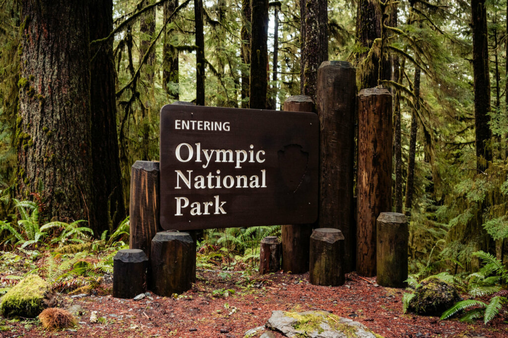 Wooden sign at the entrance of Olympic National Park, boldly stating 'Entering Olympic National Park' against a backdrop of lush greenery and towering trees.
