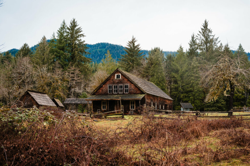 A cozy Mount Storm King Ranger Station nestled amidst the serene wilderness near Olympic National Park backdropped by gorgeous evergreen trees surrounded by towering trees and lush greenery, offering a tranquil retreat in nature's embrace.