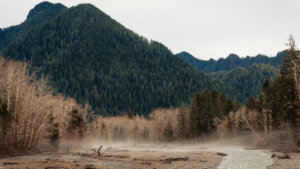Old-growth forest, subalpine lakes, and snowy peaks populate the Sol Duc landscape