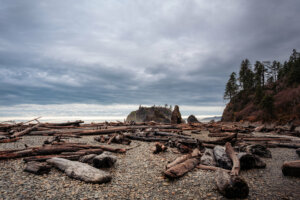 Wood shards scattered along the windswept shores of Kalaloch Beach