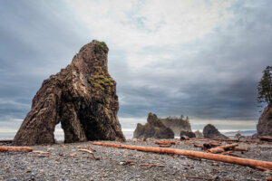 A tranquil shoreline at Kalaloch Beach, where gentle waves lap against the sandy shore