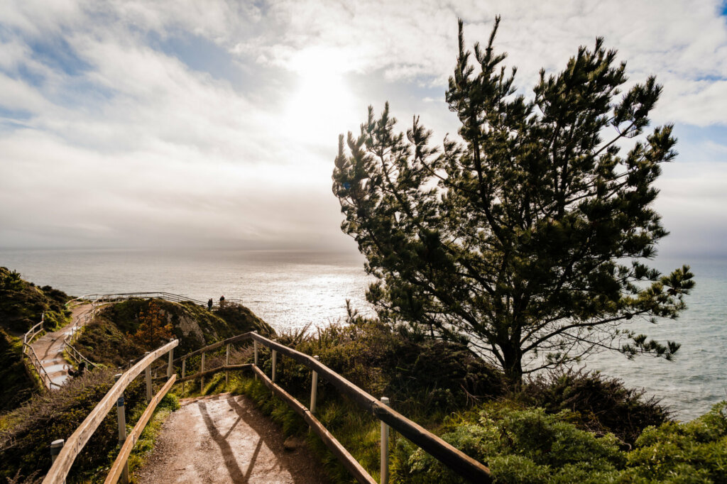 The Muir Beach Overlook offers a breathtaking panoramic view of the Pacific Ocean, San Francisco, and the North Bay area. Perched atop the coastal cliffs, visitors can marvel at the vast expanse of the ocean