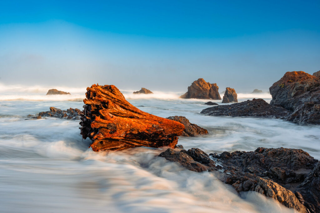 Along the Oregon Coast, a rugged and picturesque rocky beach stretches as far as the eye can see. The coastline is characterized by dramatic cliffs and jagged rock formations that meet the crashing waves of the Pacific Ocean.