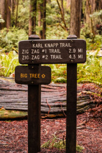 Wooden signage of the Karl Knapp Trail which is a 2.5-mile loop that leads hikers alongside a babbling creek and under some of the tallest redwood trees in the world.
