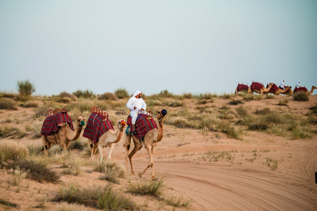 Magical desert adventure in the UAE, complete with traditional cuisine, camel rides, and Bedouin tents.