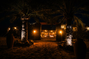 Overnight Desert Camp Experience in the UAE