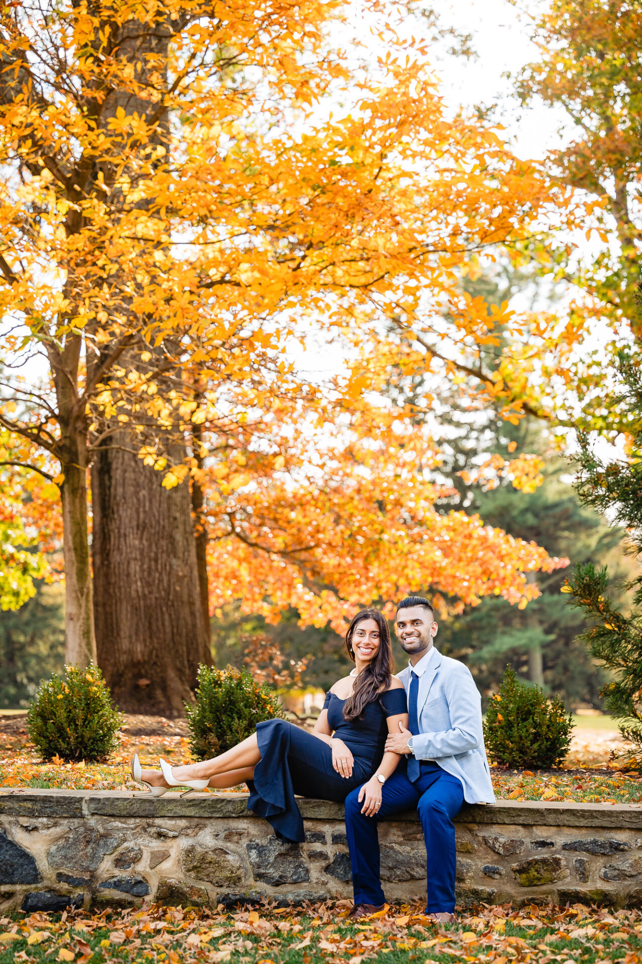 Jill and Nishant sitting together under a towering tree with golden autumn leaves at Nemours Estate.